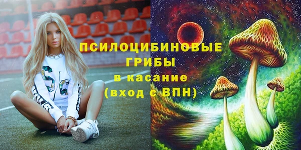соль курить ск Богородицк